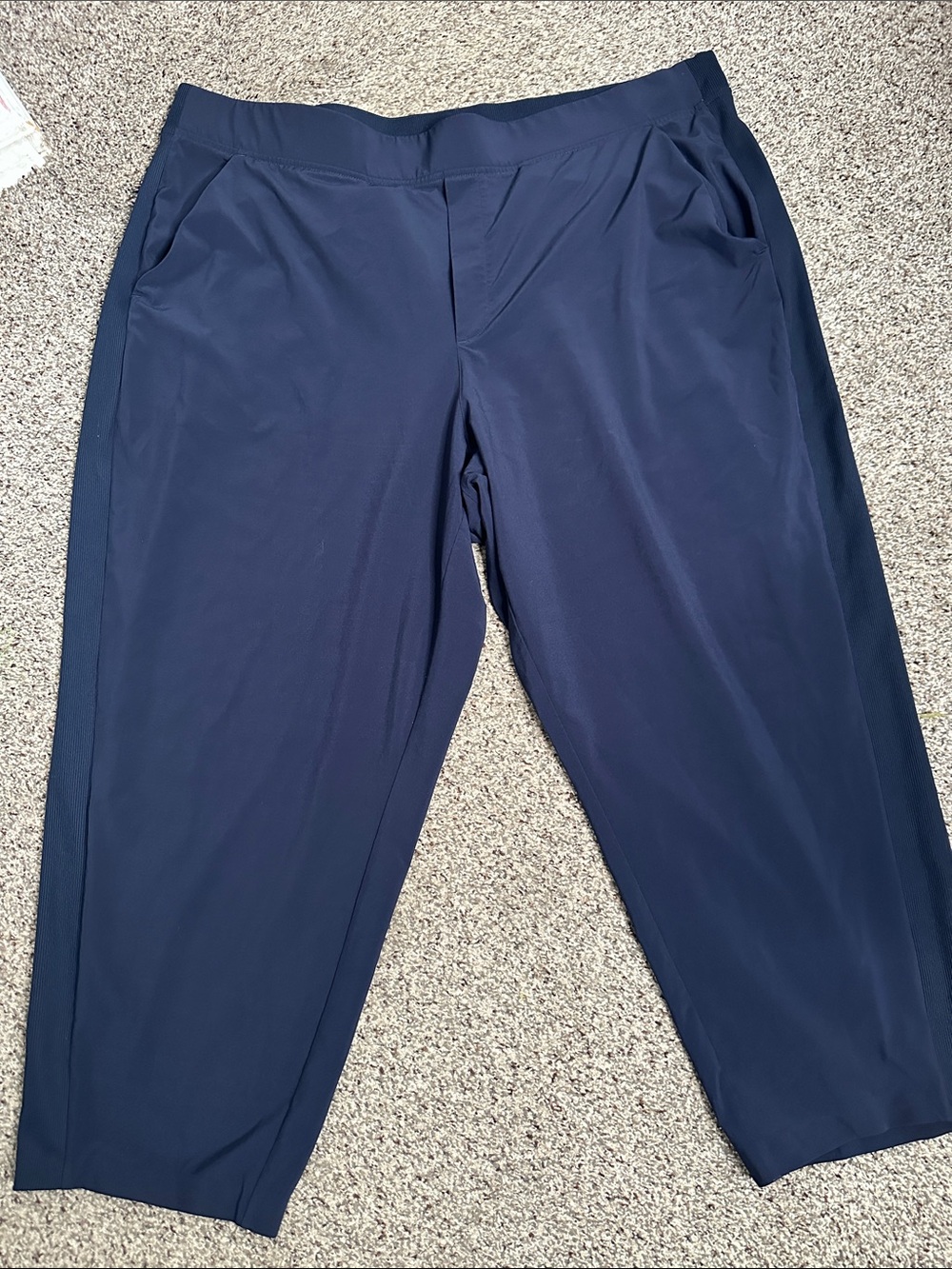 Athleta Navy blue Brooklyn ankle Stretch Performance Pants size 22